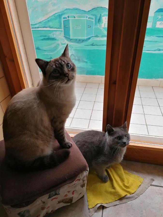 B&B Il Giardinetto Alghero Ruang foto